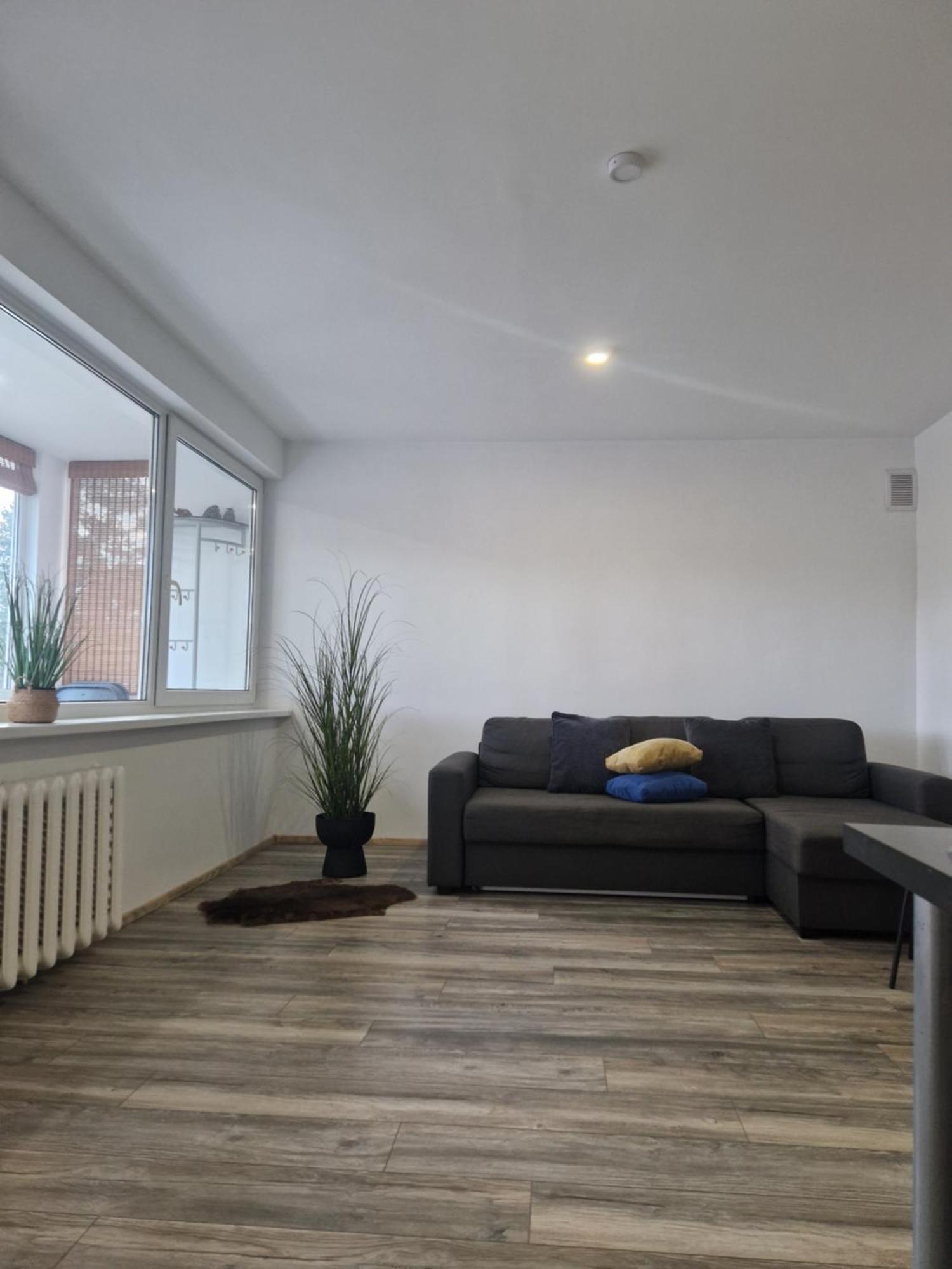 Duplex Apartment Vilte ดรูซกินินไก ภายนอก รูปภาพ